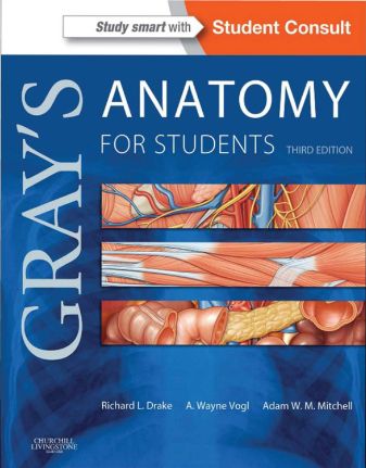 GRAYS ANATOMY cover